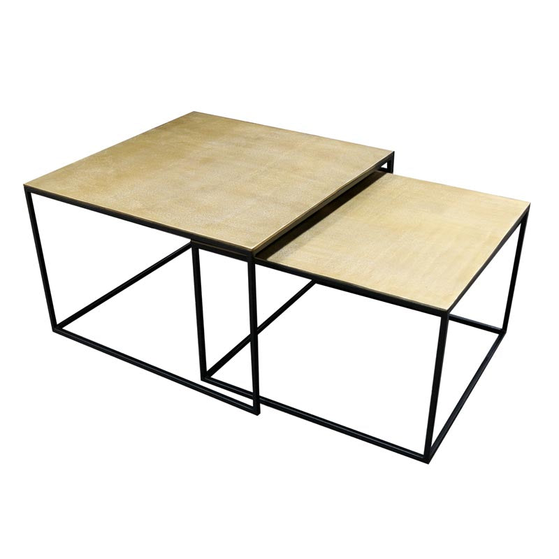 Tonto Coffee Table Set/2