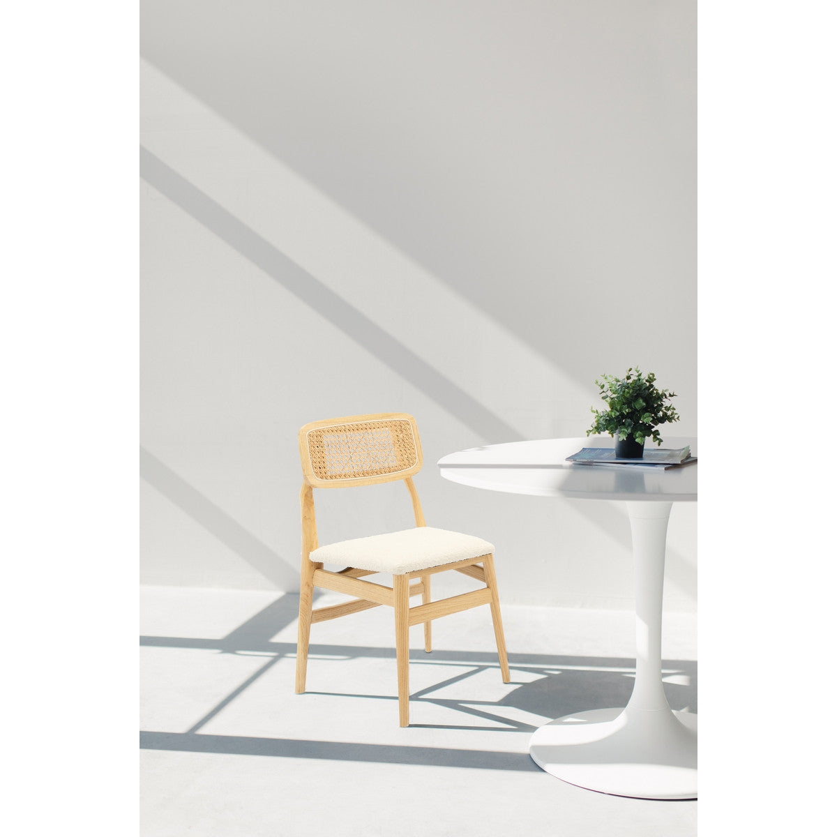 Buy dining chairs NZ