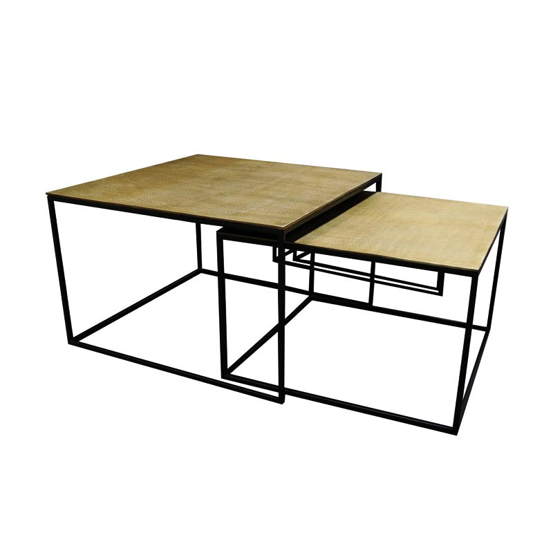 Tonto Coffee Table Set/2