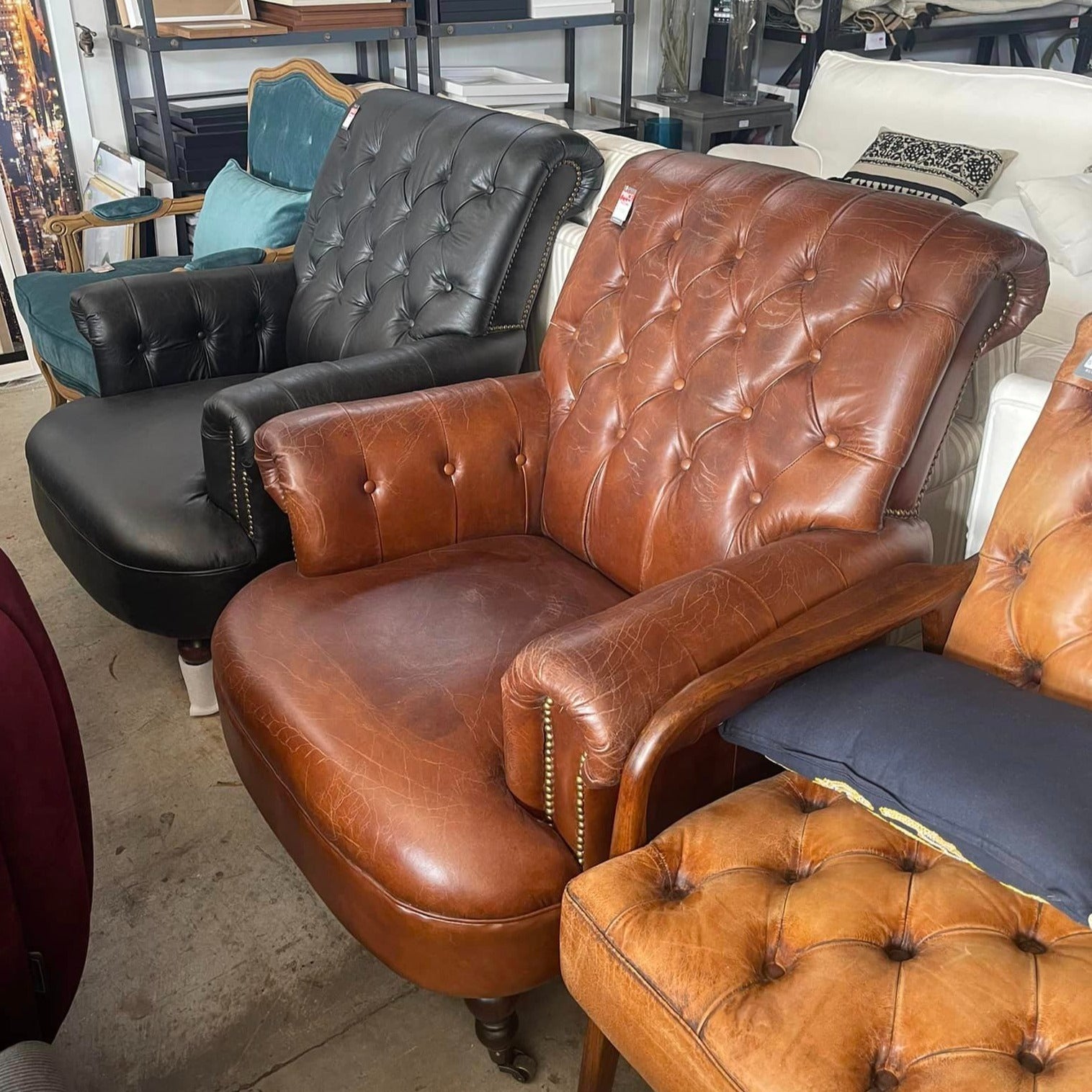 Waldorf Armchair - Vintage Cigar